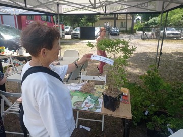 Spotkanie Sąsiedzkie w Puszczy Mariańskiej, 